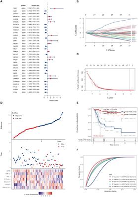 Multi-omic validation of the cuproptosis-sphingolipid metabolism network: modulating the immune landscape in osteosarcoma